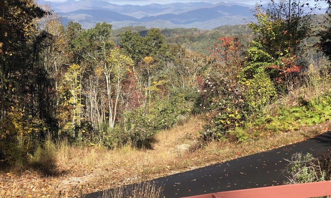 Pisgah Forest House | Amazing Mountain Views! Dog friendly, minutes to Pisgah Forest!