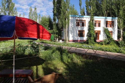 She House | amir homestay