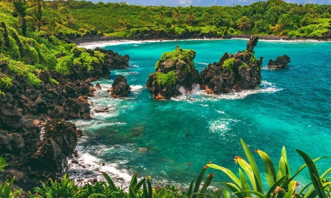 Kahului Apartment | An Adventure Awaits! 4 Gorgeous Ocean View Units! Pet-Friendly, Pool