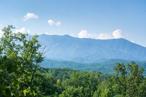 Black Bear Falls House | Another Day in Bearadise By Stony Brook Cabins