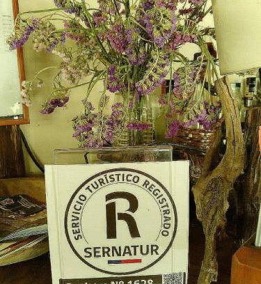 Antuco House | Antucalhue Mountain Resort