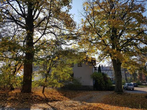 Koscierzyna Apartment | Apartament nr 3 w Starym Nadleśnictwie