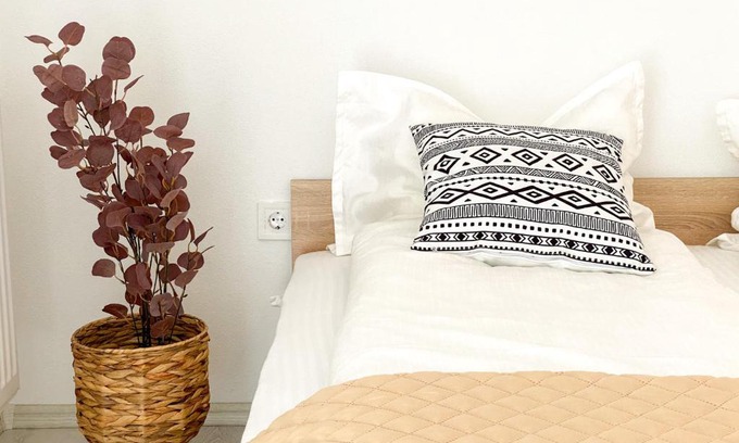 Sibiu Apartment | Apartament Olive Branch