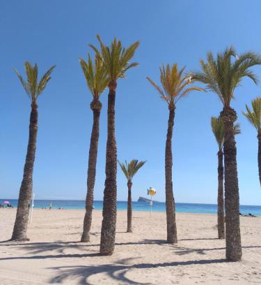 Benidorm Centro Apartment | Apartamento Orly centro