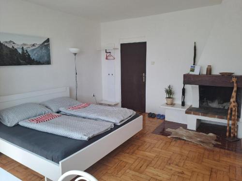 Olomouc Apartment | apartmán s krbem