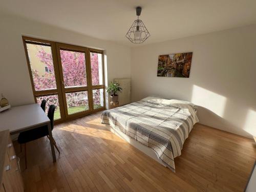 Banska Bystrica Apartment | Apartmán v centre