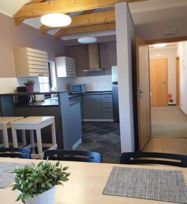 Bozi Dar Apartment | Apartmány Cestář Boží Dar