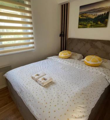 Zlatibor Apartment | Apartman Limun Zut