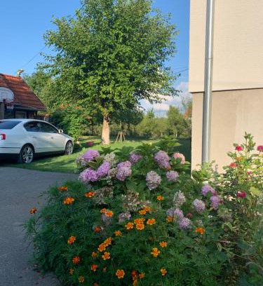 Catrnja Apartment | Apartman MAURO