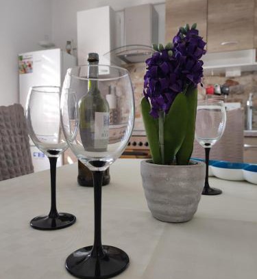 Pridraga Apartment | Apartmani Žak