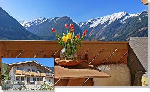 Schonbach Apartment | Apartment Prossegger