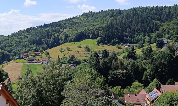 Altschweier Condo | Apartment 35 sqm with valley view directly on the edge of the forest