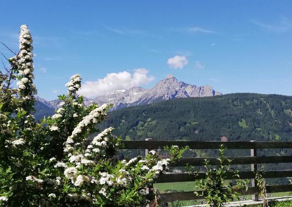 Ellboegen Apartment | Apartment Arztal
