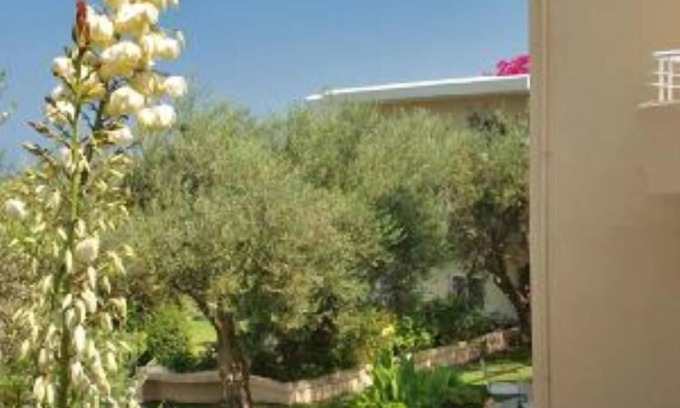 Katochori Apartment | Apartment/flat in a olive grove - Kalives