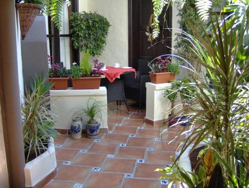 El Guincho Apartment | Apartment mit kleiner Innenhof-Terrasse im mediterranen Stil