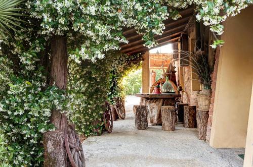 Montepulciano Apartment | Appartamenti Alcantara e Damasco
