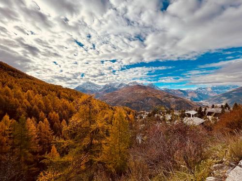 Sauze d'Oulx Apartment | Appartamento Alpaca