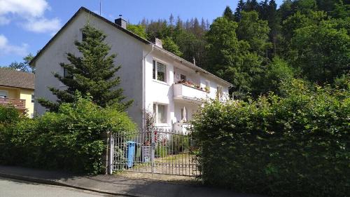 Bad Sachsa Apartment | Appartement In Steina Mit Terrasse Und Garten