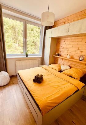 Borovany Apartment | #Apt23 - Apartmán 23 - Novohradské hory