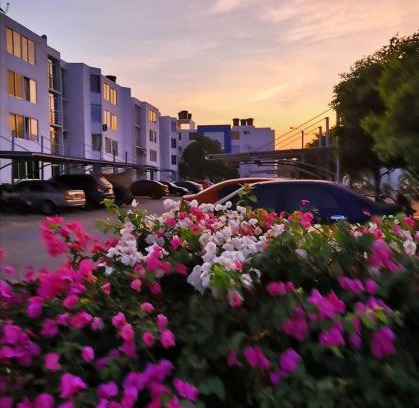 Valledupar Apartment | Apto San Francisco de Asis