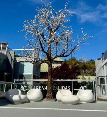 Carilo Apartment | Arenas Calidas Carilo