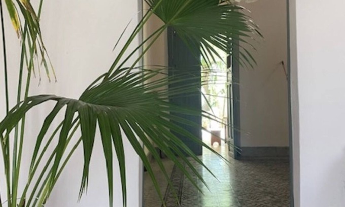 Centro House | Artist Home
