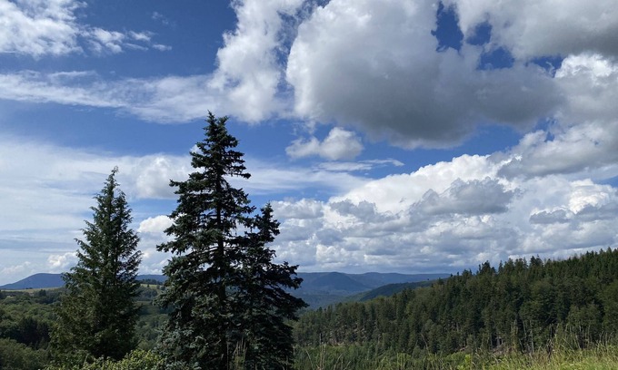 Rothau Apartment | At José ⭐️