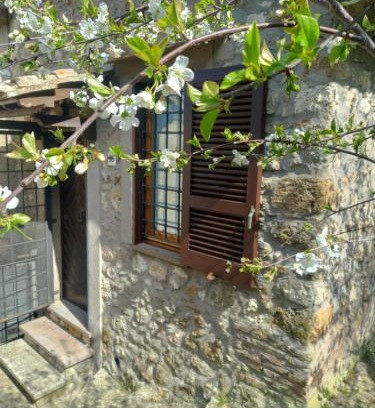 Tolfa Apartment | Autenticum Agriturismo Tolfa