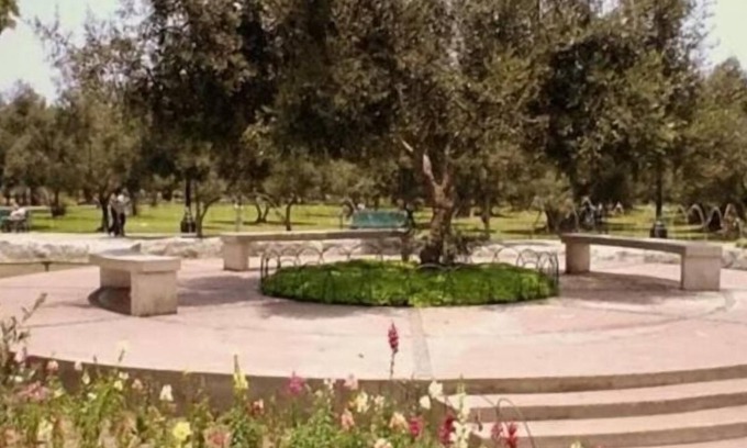 San Isidro Bed & Breakfast | B&B El Olivar