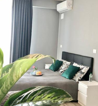 Cassino Bed & Breakfast | B&B Le Palme