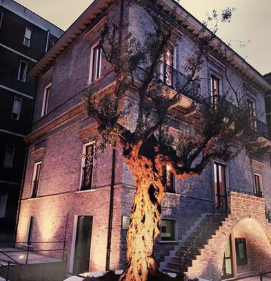 Pineta Bed & Breakfast | B&B Palazzo Storico Di Nicola