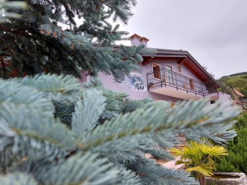 Conco Bed & Breakfast | B&B Stella Alpina