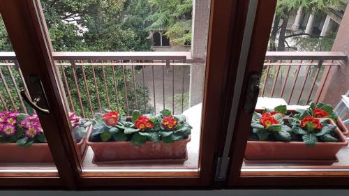Pordenone Bed & Breakfast | B&B Xenia