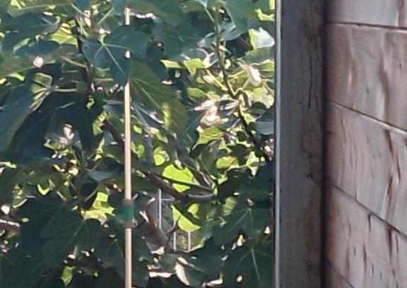 Capaccio-Paestum House | Baita