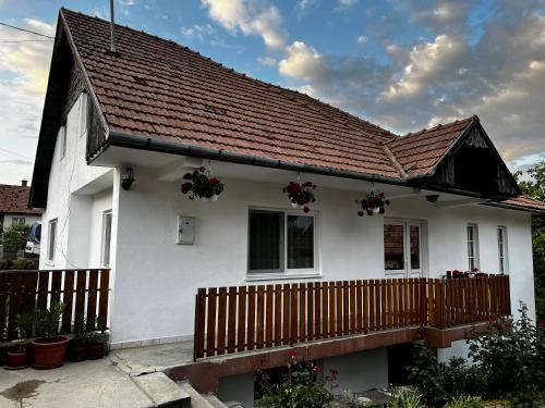 Lupeni Apartment | Balázs Vendégház
