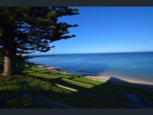 Kingscote Apartment | Bay Lodge 1-Cheapest in Kangaroo Island in Esplanade on Buller St Kingscote