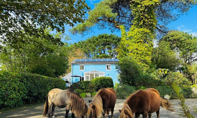 Boscundle Apartment | Bay View Cottage