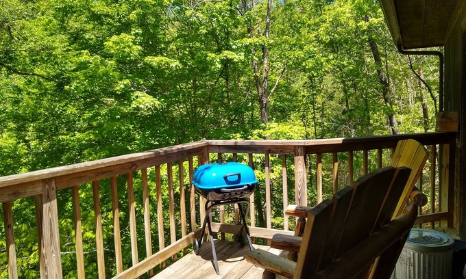 Gatlinburg - Pigeon Forge Cabin | Bear Bella's Treehouse