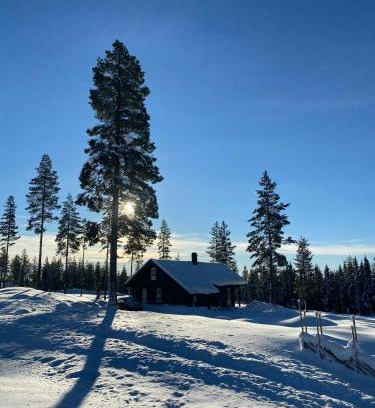 Amot House | Beautiful Forest Cabin Near Ski Trails