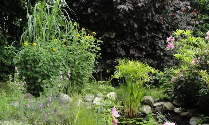Seeboden Apartment | Beautiful garden apartment on Lake Millstatt: dogs & children welcome :-)