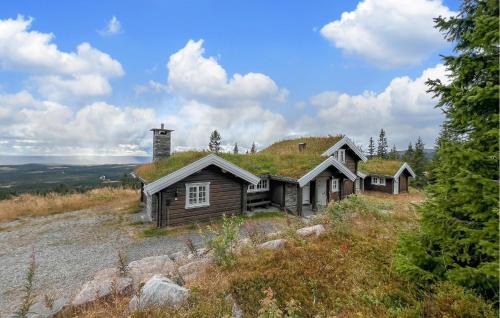 Lillehammer House | Beautiful Home In Lillehammer With House A Mountain View