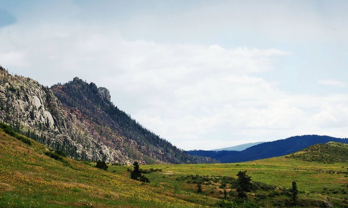 Livermore Apartment | Beautiful Suite in the Colorado Mountains w/Gourmet Breakfast