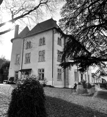 Belleau Bed & Breakfast | Bed and Breakfast Le Château de Morey