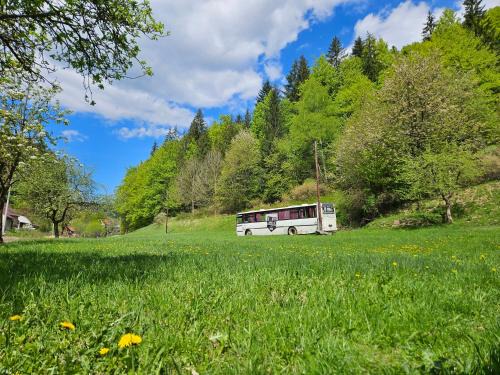 Kolarovice Other | Bed in Bus