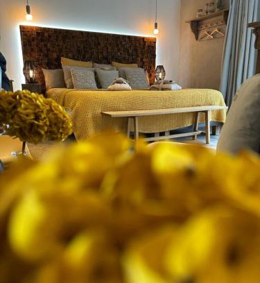 Beaumont Saint-Cyr Bed & Breakfast | Belle An Pierre chambre d hôte & spa "Tuffeau'