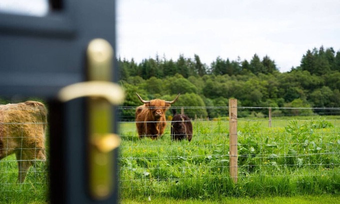Fort William Apartment | Ben Nevis Pod in the town of Fort William