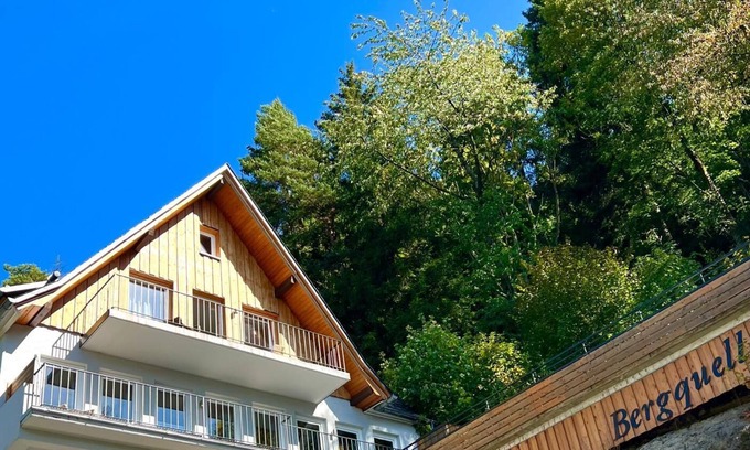 Ortsmitte Apartment | Bergquell Willingen App. 4