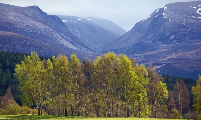 Aviemore House | Birchdale Cottage offer you the highest quality, comfort and style for 4 people