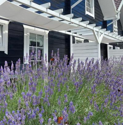 Grzybowo Cabin | Bla Marine Domki nad Morzem