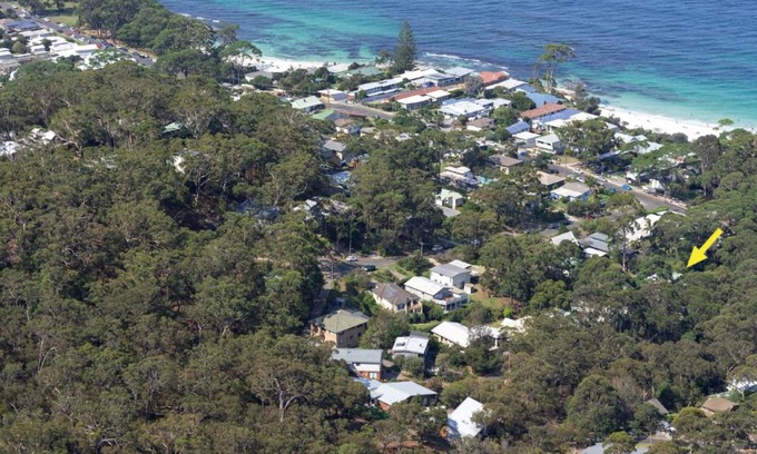 Hyams Beach House | Black Wattle at Hyams Beach
